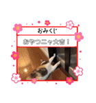 あーちゃんの癒されるスタンプニャ（個別スタンプ：22）