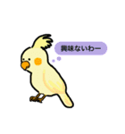 代弁してくれるオウム（個別スタンプ：19）