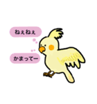 代弁してくれるオウム（個別スタンプ：24）