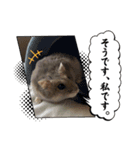 暴れ食いしん坊ハムスターやちる君3〜冬〜（個別スタンプ：3）