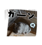 暴れ食いしん坊ハムスターやちる君3〜冬〜（個別スタンプ：4）