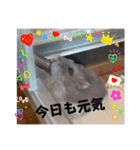 暴れ食いしん坊ハムスターやちる君3〜冬〜（個別スタンプ：6）