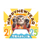 飛び出す♡猫にゃんこの年末年始（個別スタンプ：8）