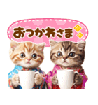 飛び出す♡猫にゃんこの年末年始（個別スタンプ：19）