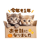 飛び出す♡猫にゃんこの年末年始（個別スタンプ：21）