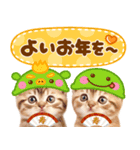 飛び出す♡猫にゃんこの年末年始（個別スタンプ：22）