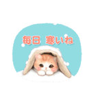 動く！猫がいっぱい♡お正月2025（個別スタンプ：7）