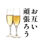 年末年始だからお前に酔ってる。【お正月】（個別スタンプ：21）