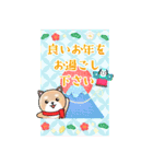 BIGかわいい♥柴犬日和の年末年始お正月14（個別スタンプ：12）