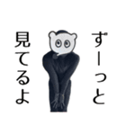 リアルミンク(ピンチョス)（個別スタンプ：7）