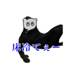 リアルミンク(ピンチョス)（個別スタンプ：18）
