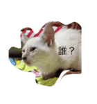 プア3弾（個別スタンプ：4）