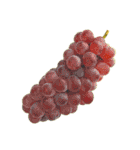 果物・フルーツの写真（個別スタンプ：24）