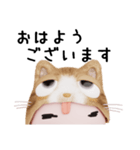 コスプレねこ②（個別スタンプ：3）