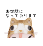 コスプレねこ②（個別スタンプ：11）