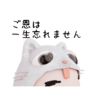 コスプレねこ②（個別スタンプ：16）
