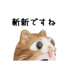 コスプレねこ②（個別スタンプ：19）