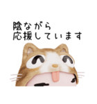 コスプレねこ②（個別スタンプ：27）