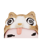コスプレねこ②（個別スタンプ：39）