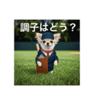 働くチワワさん（個別スタンプ：4）