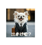 働くチワワさん（個別スタンプ：5）