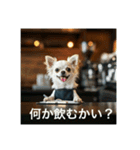 働くチワワさん（個別スタンプ：6）