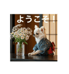 働くチワワさん（個別スタンプ：11）