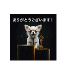 働くチワワさん（個別スタンプ：12）