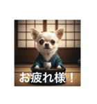 人間っぽいチワワさん2（個別スタンプ：3）