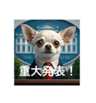 人間っぽいチワワさん2（個別スタンプ：4）