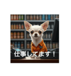 人間っぽいチワワさん2（個別スタンプ：5）
