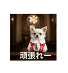 人間っぽいチワワさん2（個別スタンプ：8）