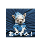 人間っぽいチワワさん2（個別スタンプ：9）