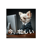 人間っぽいチワワさん2（個別スタンプ：14）