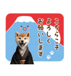 癒し柴犬の毎年使える年賀状（再販）（個別スタンプ：11）