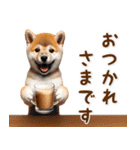 癒し柴犬の毎年使える年賀状（再販）（個別スタンプ：36）