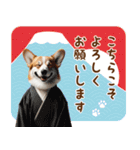 癒しコーギーの毎年使える年賀状（再販）（個別スタンプ：11）