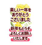 年末年始でか字✿おとなに優しい大きな文字（個別スタンプ：23）