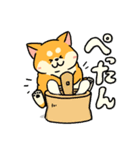 柴犬むちのお正月（個別スタンプ：9）