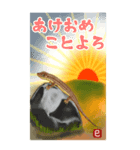 新年⭐︎コブラ海蛇カナヘビのご挨拶（個別スタンプ：14）