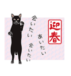 飛び出す猫パンチ正月（個別スタンプ：24）