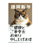 年末年始に会社の同僚や上司に使える（個別スタンプ：10）