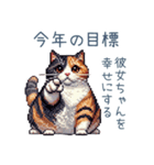 新年からいちゃいちゃ三毛猫彼氏【お正月】（個別スタンプ：4）