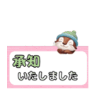 冬のカワウソ 毎年ずっと使える年末年始（個別スタンプ：19）