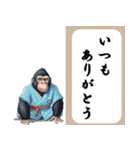 冬のゴリラ 毎年ずっと使える年末年始（個別スタンプ：10）