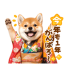 飛び出す♡柴犬わんこの年末年始（個別スタンプ：2）