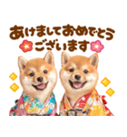 飛び出す♡柴犬わんこの年末年始（個別スタンプ：4）