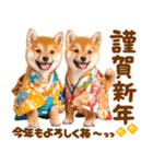 飛び出す♡柴犬わんこの年末年始（個別スタンプ：9）