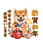 飛び出す♡柴犬わんこの年末年始（個別スタンプ：11）