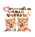 飛び出す♡柴犬わんこの年末年始（個別スタンプ：14）